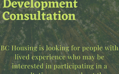 Riverview Development Consultation